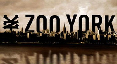 Zoo York Skate